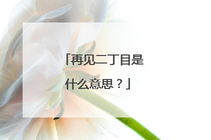 再见二丁目是什么意思？