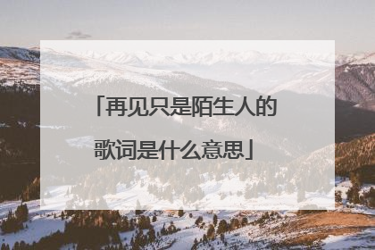 再见只是陌生人的歌词是什么意思
