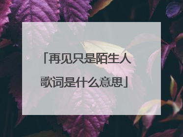 再见只是陌生人 歌词是什么意思