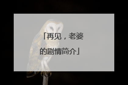 再见，老婆的剧情简介