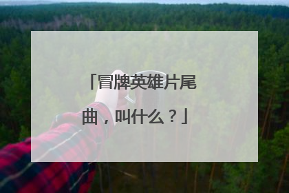 冒牌英雄片尾曲,叫什么?