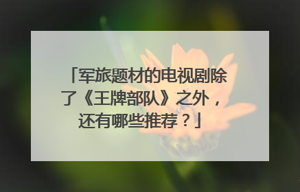 军旅题材的电视剧除了《王牌部队》之外，还有哪些推荐？