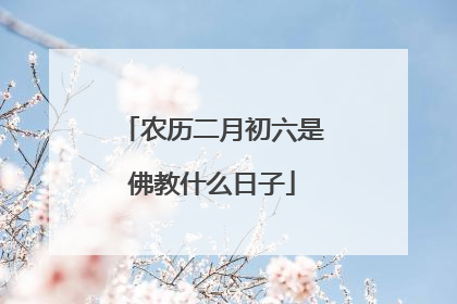 农历二月初六是佛教什么日子
