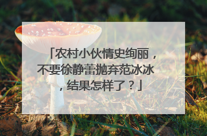 农村小伙情史绚丽,不要徐静蕾抛弃范冰冰,结果怎样了?