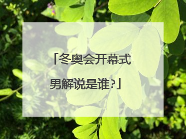 冬奥会开幕式男解说是谁?