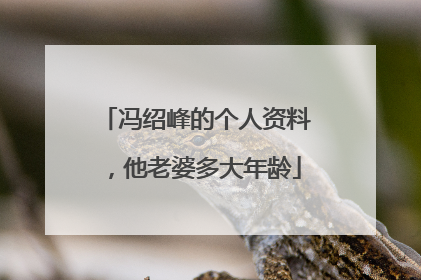 冯绍峰的个人资料,他老婆多大年龄