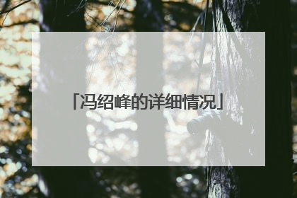 冯绍峰的详细情况
