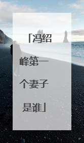 冯绍峰第一个妻子是谁