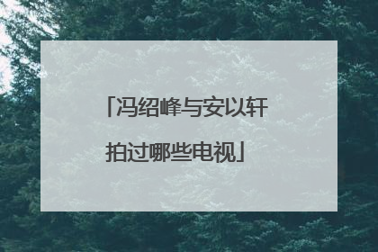 冯绍峰与安以轩拍过哪些电视