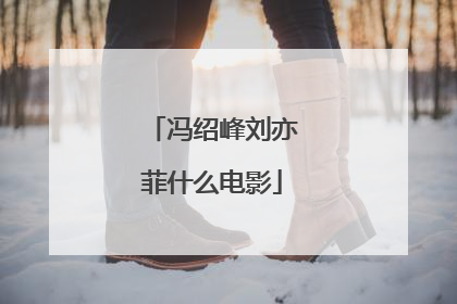 冯绍峰刘亦菲什么电影