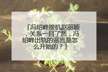 冯绍峰接机赵丽颖,关系一目了然,冯绍峰出轨的谣言是怎么开始的?