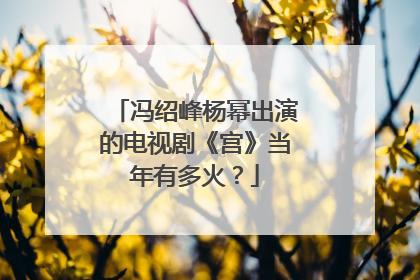 冯绍峰杨幂出演的电视剧《宫》当年有多火？