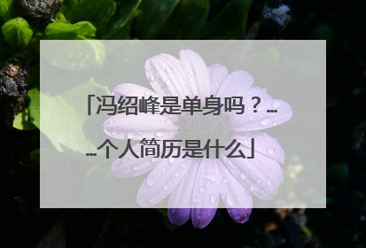 冯绍峰是单身吗?……个人简历是什么