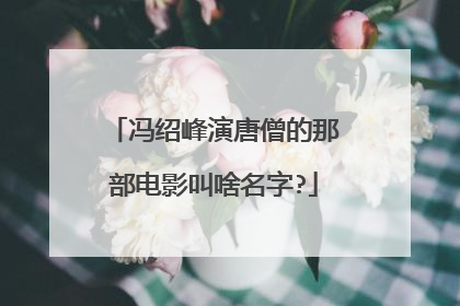 冯绍峰演唐僧的那部电影叫啥名字?