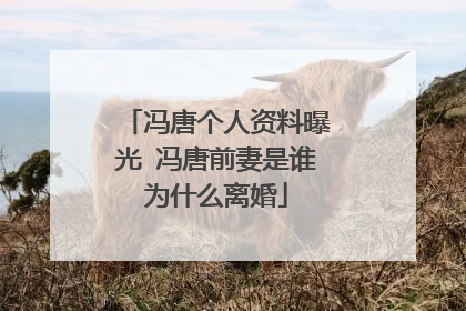 冯唐个人资料曝光 冯唐前妻是谁为什么离婚