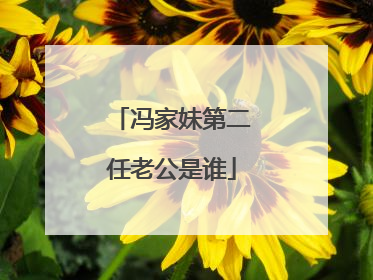 冯家妹第二任老公是谁