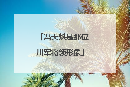 冯天魁是那位川军将领形象