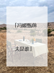 冯媛甄前夫是谁