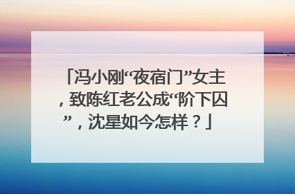 冯小刚“夜宿门”女主,致陈红老公成“阶下囚”,沈星如今怎样?