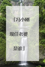 冯小刚现任老婆是谁