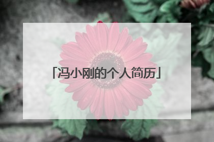 冯小刚的个人简历