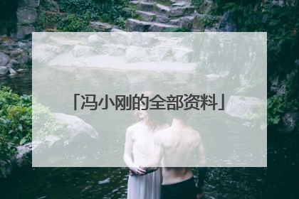 冯小刚的全部资料