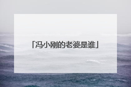 冯小刚的老婆是谁