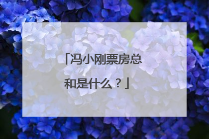 冯小刚票房总和是什么？