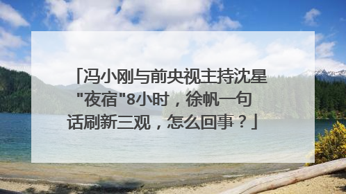 冯小刚与前央视主持沈星