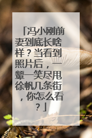 冯小刚前妻到底长啥样？当看到照片后，一颦一笑尽甩徐帆几条街，你怎么看？