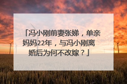 冯小刚前妻张娣，单亲妈妈22年，与冯小刚离婚后为何不改嫁？
