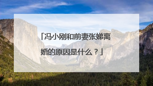 冯小刚和前妻张娣离婚的原因是什么？