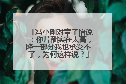 冯小刚对章子怡说：你片酬实在太高，降一部分我也承受不了，为何这样说？