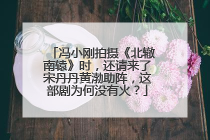 冯小刚拍摄《北辙南辕》时，还请来了宋丹丹黄渤助阵，这部剧为何没有火？