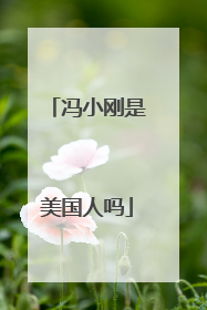 冯小刚是美国人吗