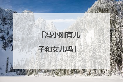 冯小刚有儿子和女儿吗