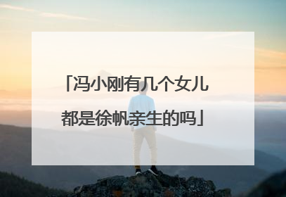 冯小刚有几个女儿 都是徐帆亲生的吗