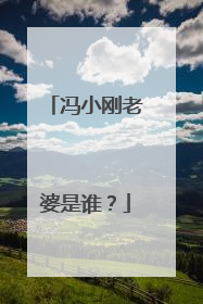 冯小刚老婆是谁?