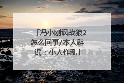 冯小刚讽战狼2怎么回事/本人辟谣：小人作乱