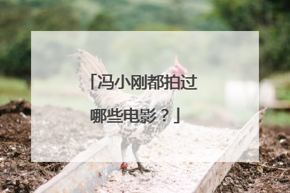 冯小刚都拍过哪些电影？