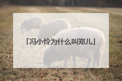 冯小怜为什么叫郑儿