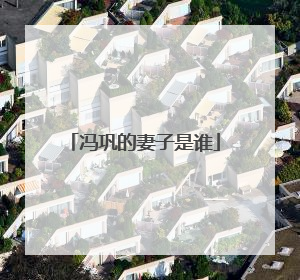 冯巩的妻子是谁