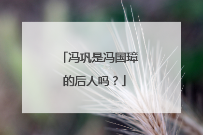 冯巩是冯国璋的后人吗?