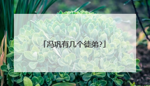 冯巩有几个徒弟?