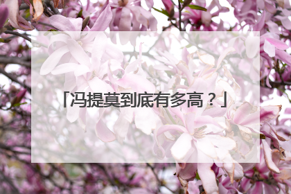 冯提莫到底有多高?