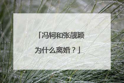 冯轲和张靓颖为什么离婚？