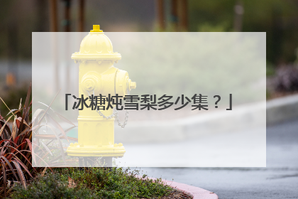 冰糖炖雪梨多少集?