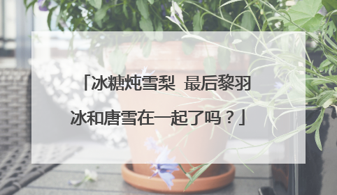 冰糖炖雪梨 最后黎羽冰和唐雪在一起了吗？