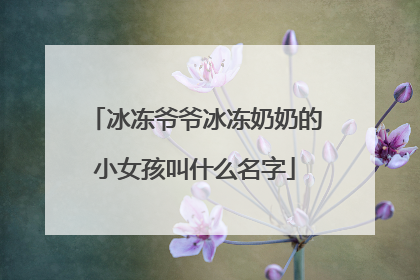 冰冻爷爷冰冻奶奶的小女孩叫什么名字
