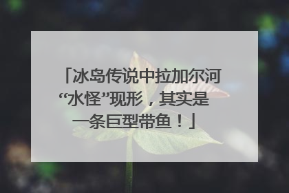 冰岛传说中拉加尔河“水怪”现形，其实是一条巨型带鱼！
